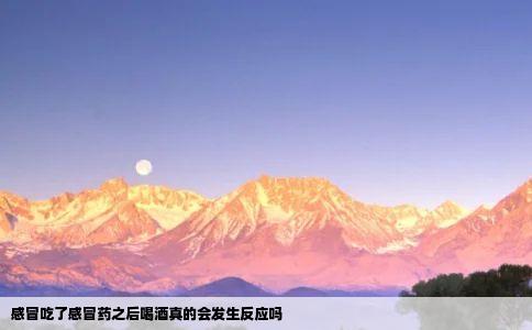 感冒吃了感冒药之后喝酒真的会发生反应吗