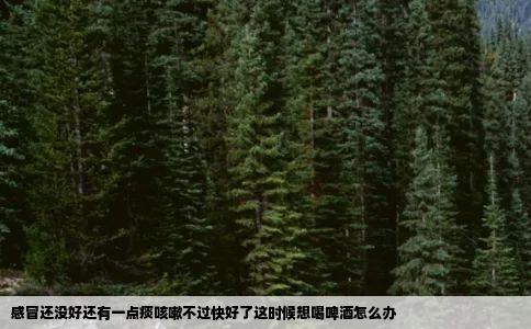 感冒还没好还有一点痰咳嗽不过快好了这时候想喝啤酒怎么办