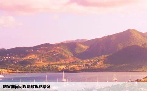 感冒期间可以喝玫瑰花茶吗