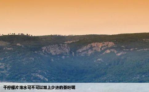 干柠檬片泡水可不可以加上少许的茶叶呢