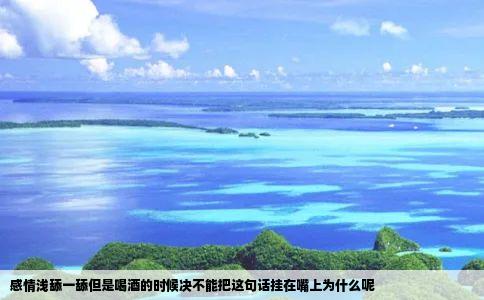 感情浅舔一舔但是喝酒的时候决不能把这句话挂在嘴上为什么呢