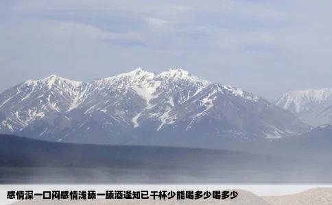 感情深一口闷感情浅舔一舔酒逢知已千杯少能喝多少喝多少