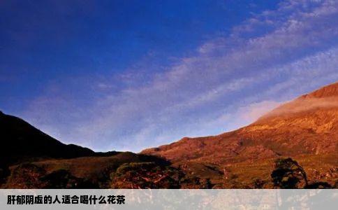 肝郁阴虚的人适合喝什么花茶