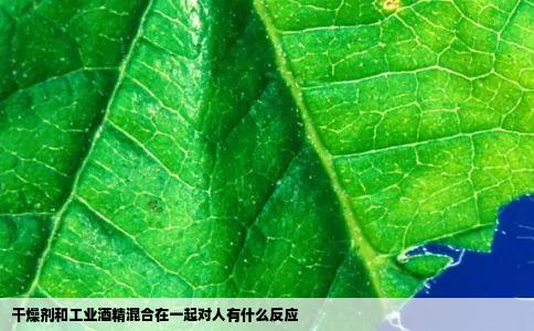 干燥剂和工业酒精混合在一起对人有什么反应