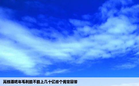 高档酒吧年毛利能不能上几十亿给个肯定回答