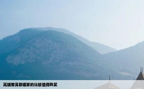 高端普洱茶哪家的比较值得购买