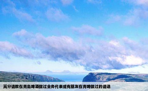 高分请教在青岛啤酒做过业务代表或有朋友在青啤做过的请进