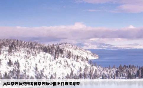 高级茶艺师资格考试茶艺师证能不能直接考专
