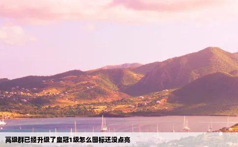 高级群已经升级了皇冠1级怎么图标还没点亮