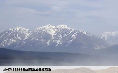 gb47t21263是固态酒还是液态酒