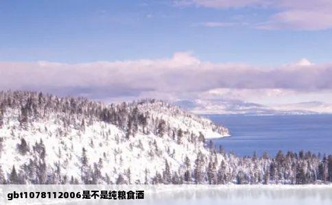 gbt1078112006是不是纯粮食酒