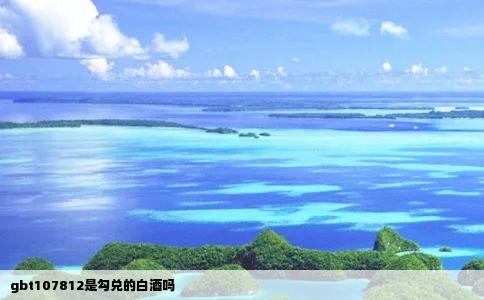 gbt107812是勾兑的白酒吗