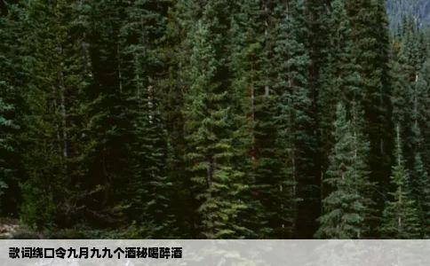 歌词绕口令九月九九个酒秘喝醉酒
