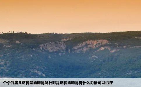 个个的黑头这种是酒糟鼻吗针对我这种酒糟鼻有什么办法可以治疗