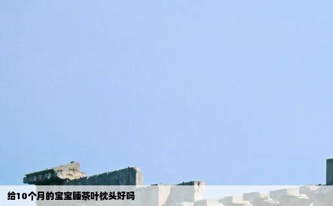 给10个月的宝宝睡茶叶枕头好吗