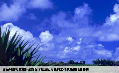 给领导送礼改送什么好除了烟酒因为我的工作就是投门进去的