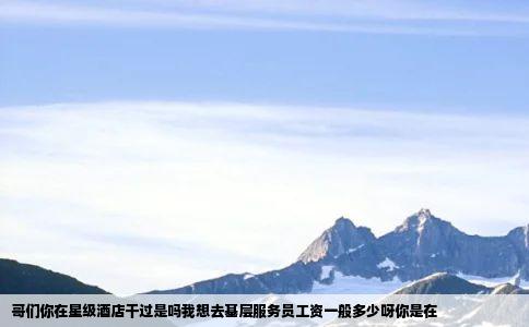 哥们你在星级酒店干过是吗我想去基层服务员工资一般多少呀你是在