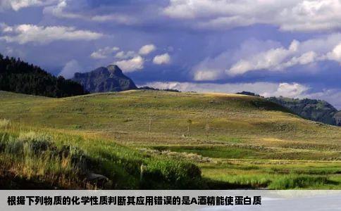 根据下列物质的化学性质判断其应用错误的是A酒精能使蛋白质