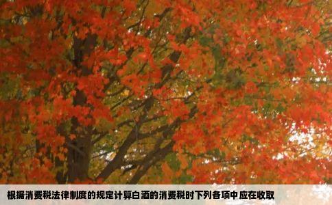 根据消费税法律制度的规定计算白酒的消费税时下列各项中应在收取
