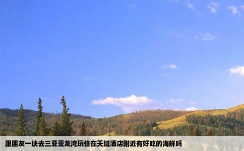 跟朋友一块去三亚亚龙湾玩住在天域酒店附近有好吃的海鲜吗