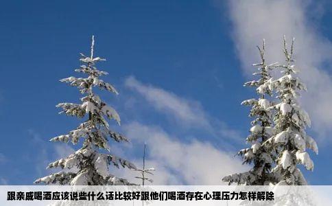 跟亲戚喝酒应该说些什么话比较好跟他们喝酒存在心理压力怎样解除