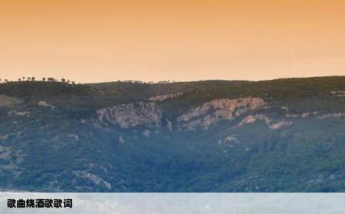 歌曲烧酒歌歌词