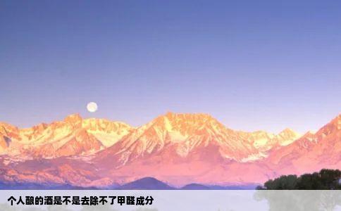 个人酿的酒是不是去除不了甲醛成分