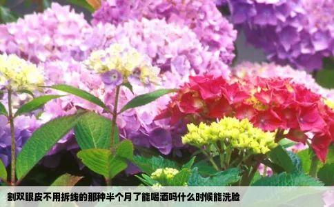 割双眼皮不用拆线的那种半个月了能喝酒吗什么时候能洗脸