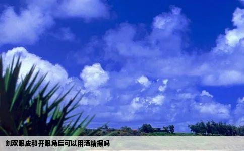 割双眼皮和开眼角后可以用酒精擦吗