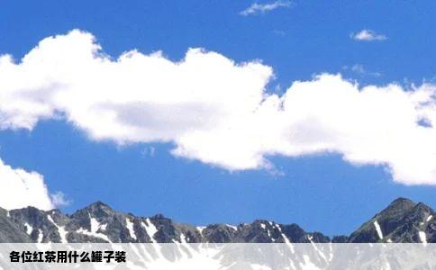 各位红茶用什么罐子装