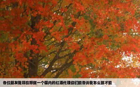 各位朋友我现在想做一个国内的红酒代理你们能告诉我怎么做才能