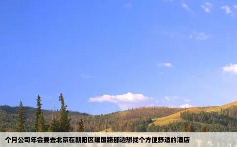 个月公司年会要去北京在朝阳区建国路那边想找个方便舒适的酒店