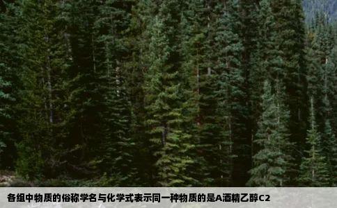 各组中物质的俗称学名与化学式表示同一种物质的是A酒精乙醇C2