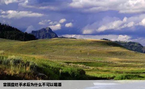 宫颈糜烂手术后为什么不可以喝酒