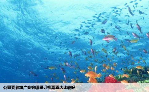 公司要参加广交会哪里订机票酒店比较好