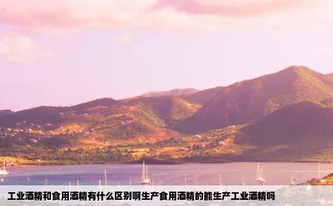 工业酒精和食用酒精有什么区别啊生产食用酒精的能生产工业酒精吗