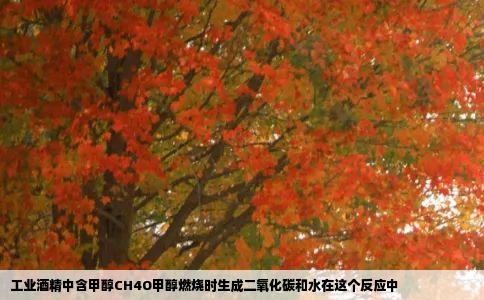 工业酒精中含甲醇CH4O甲醇燃烧时生成二氧化碳和水在这个反应中