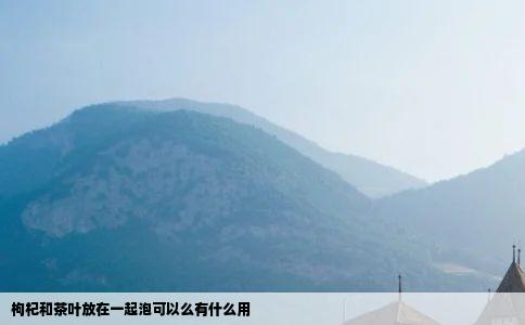 枸杞和茶叶放在一起泡可以么有什么用