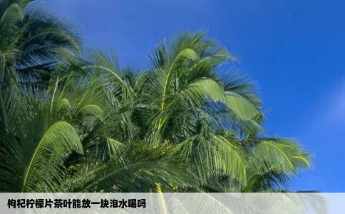 枸杞柠檬片茶叶能放一块泡水喝吗