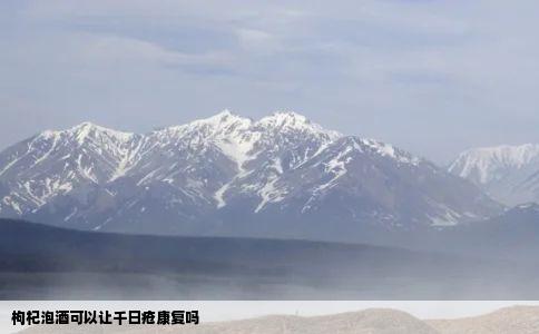 枸杞泡酒可以让千日疮康复吗