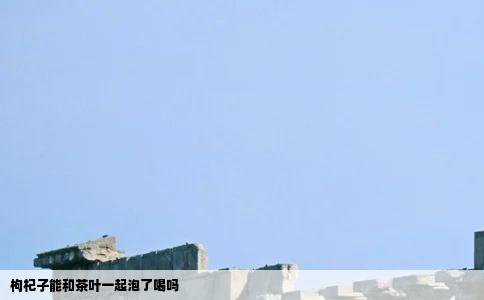 枸杞子能和茶叶一起泡了喝吗