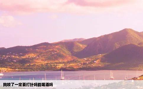 狗咬了一定要打针吗能喝酒吗