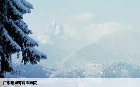 广东哪里有戒酒医院