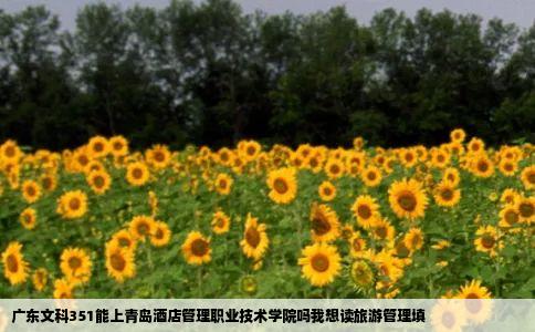 广东文科351能上青岛酒店管理职业技术学院吗我想读旅游管理填