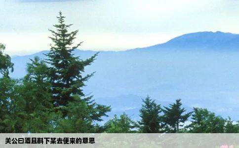 关公曰酒且斟下某去便来的意思