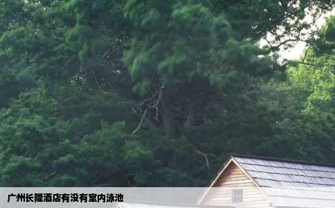 广州长隆酒店有没有室内泳池