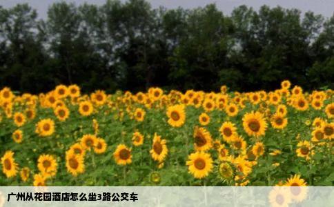 广州从花园酒店怎么坐3路公交车