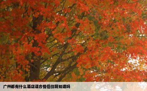 广州都有什么酒店适合情侣住啊知道吗