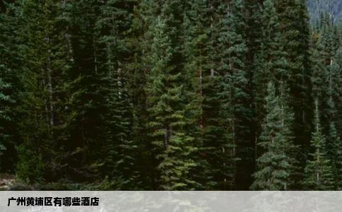 广州黄埔区有哪些酒店