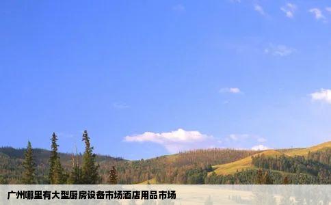 广州哪里有大型厨房设备市场酒店用品市场